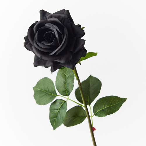 Fresh Touch Rose Hannah Black 75cml #FI8473BK - Each TEMPORARILY UNAVAILABLE