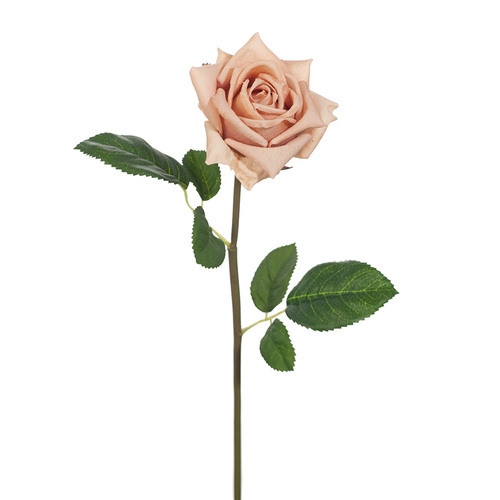 Fresh Touch Rose Hannah Blush 75cml #FI8473BS - Each 