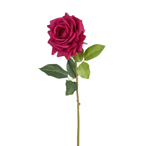 Fresh Touch Rose Hannah Burgundy 75cml #FI8473BU - Each