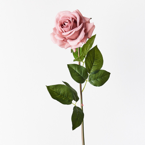Fresh Touch Rose Hannah Dusty Pink 75cml #FI8473DP - Each