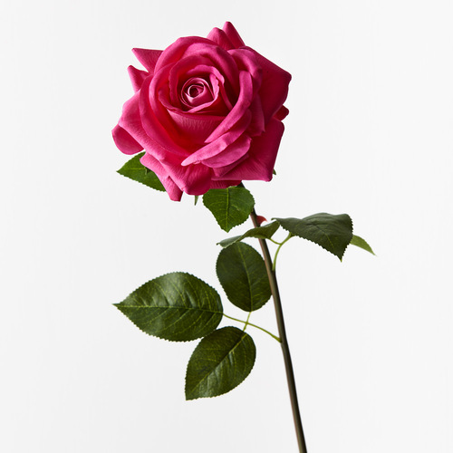 Fresh Touch Rose Hannah Fuchsia 75cml #FI8473FU - Each TEMPORARILY UNAVAILABLE