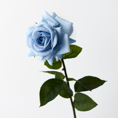 Fresh Touch Rose Hannah Ice Blue 75cml #FI8473IB - Each TEMPORARILY UNAVAILABLE