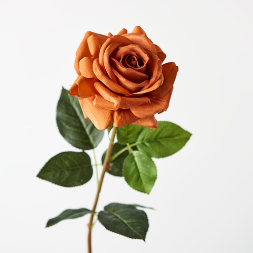 Fresh Touch Rose Hannah Rust 75cml #FI8473RU - Each TEMPORARILY UNAVAILABLE