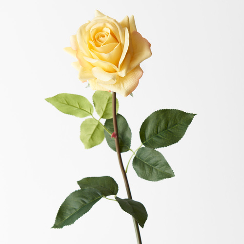 Fresh Touch Rose Hannah Yellow 75cm #FI8473YE - Each 