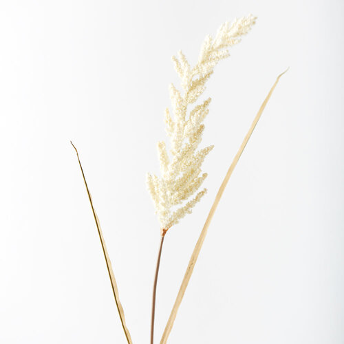 Astilbe Spray Cream 94cml #FI8495CR - Each (Upkgd.) TEMPORARILY UNAVAILABLE