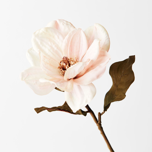 Magnolia Cream 66cml #FI8515CR - Each TEMPORARILY UNAVAILABLE