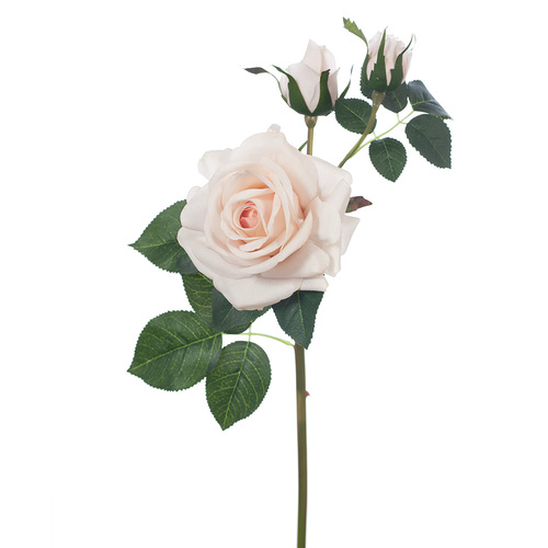 Fresh Touch Rose Lisa Spray Soft Pink 56cml #FI8518SP - Each