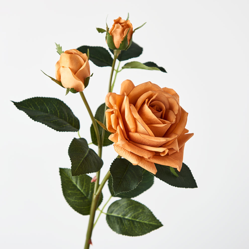 Fresh Touch Rose Lisa Spray Toffee 56cml #FI8518TF - Each 