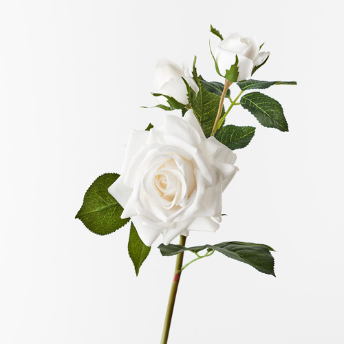 Fresh Touch Rose Lisa Spray Winter White 56cml #FI8518WW - Each 