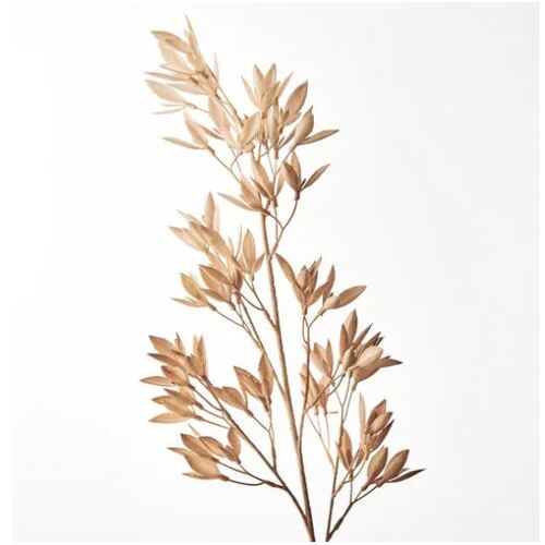 Michelia Spray Coffee 73cml #FI8525CF - Each (Upkgd.) 