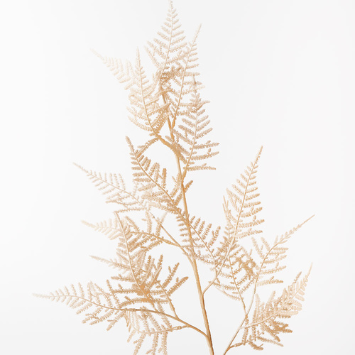 DISC Fern Spray Coffee 76cml #FI8628CF - Each (Upkgd.) 