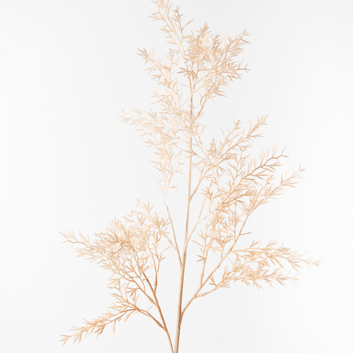 DISC Tea Tree Spray Coffee 80cml #FI8629CF - Each (Upkgd.) 