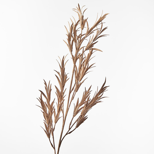 Grass Willow Spray Brown 79cml #FI8630BR - Each (Upkgd.)  TEMPORARILY UNAVAILABLE