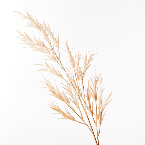 DISC Grass Willow Spray Coffee 79cml #FI8630CF - Each (Upkgd.) TEMPORARILY UNAVAILABLE