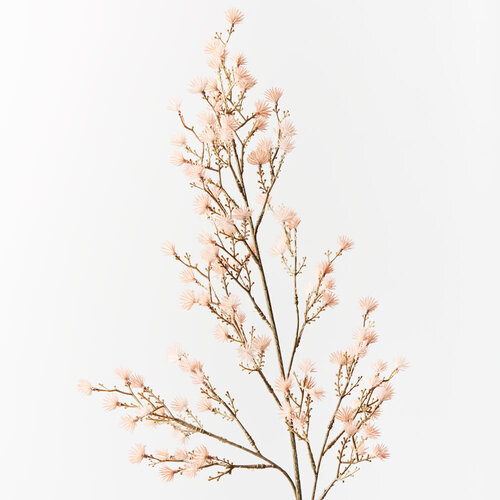Stirlingia Spray Light Pink 79cml #FI8631LP - Each (Upkgd.) TEMPORARILY UNAVAILABLE
