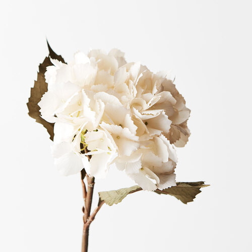 Hydrangea White 43cml #FI8640WH - Each (Upkgd.) TEMPORARILY UNAVAILABLE