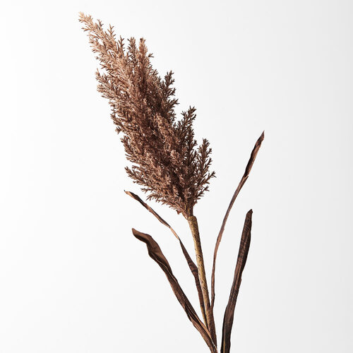 DISC Plume Grass with Leaf Spray Chocolate Brown 83cml #FI8642CHC - Each