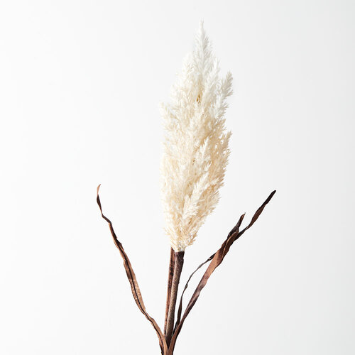 DISC Plume Grass with Leaf Spray Cream 83cml #FI8642CR - Each 