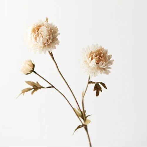 Chrysanthemum Spray Cream 68cml #FI8643CR - Each 