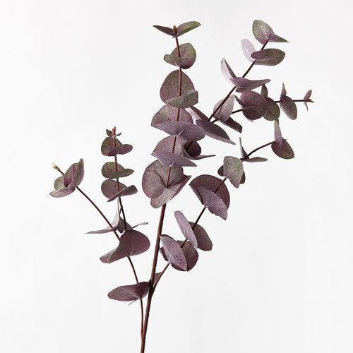 Eucalyptus Silver Dollar Purple 86cml #FI8652PU - Each