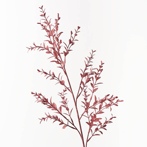 DISC Ruscus Spray Burgundy 73cml #FI8655BU - Each (Upkgd.)