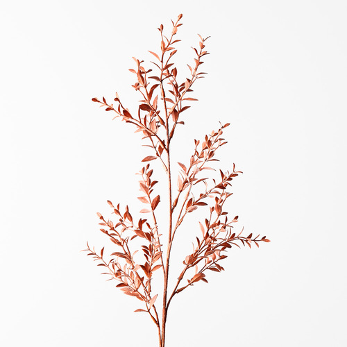 Ruscus Spray Coral 73cml #FI8655CL - Each (Upkgd.)