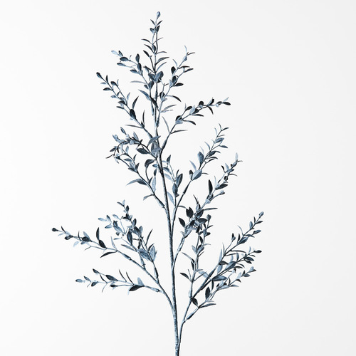 Ruscus Spray Fog 73cml #FI8655FO - Each (Upkgd.)  TEMPORARILY UNAVAILABLE