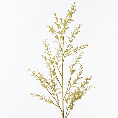 Ruscus Spray Light Green 73cml #FI8655LG - Each (Upkgd.)