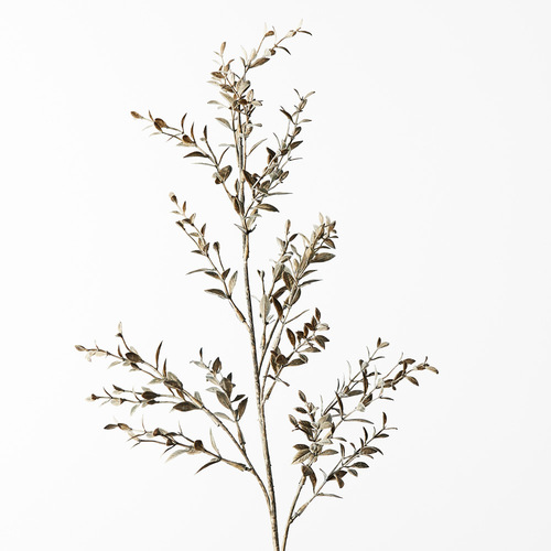 DISC Ruscus Spray Moss 73cml #FI8655MO - Each (Upkgd.)