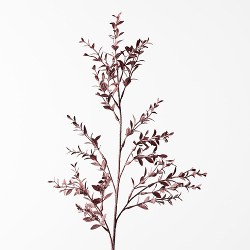 Ruscus Spray Plum 73cml #FI8655PL - Each (Upkgd.)