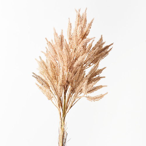 Sorghum Spray Coffee 76cml #FI8710CF - Each