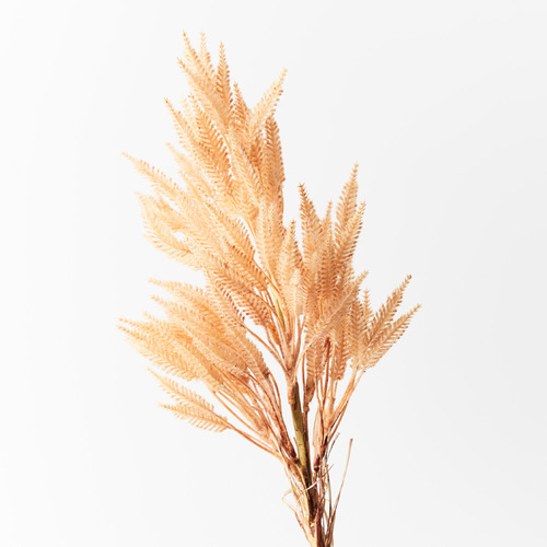 Sorghum Spray Toffee 76cml #FI8710TF - Each