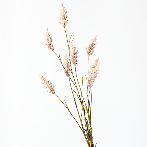 Sorghum Spray Cream Brown 124cml #FI8712CB - Each (Upkgd.)