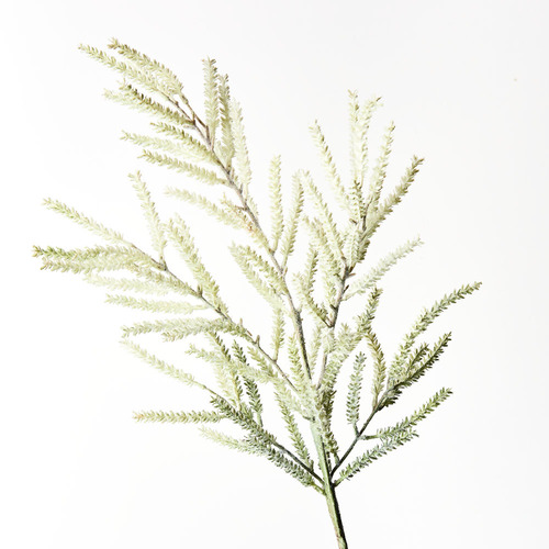 Pampas Grass Spray Sage Green 94cml #FI8714SG - Each