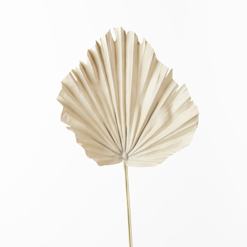 Palm Fan Natural 56cml #FI8742NA- Each (Upkgd.) 
