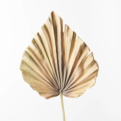  Palm Fan Spear Green Brown 56cml #FI8743GB- Each (Upkgd.) TEMPORARILY UNAVAILABLE