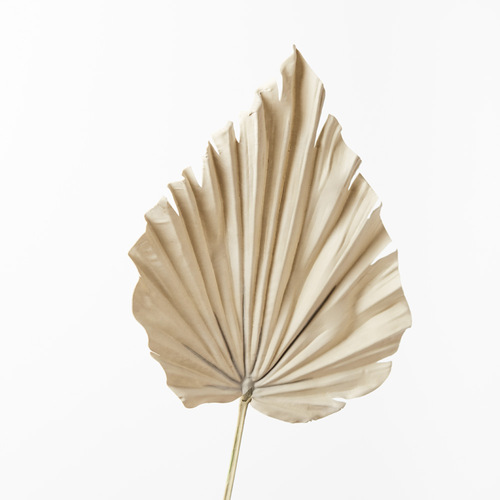 Palm Fan Spear Natural 56cml #FI8743NA- Each (Upkgd.) 