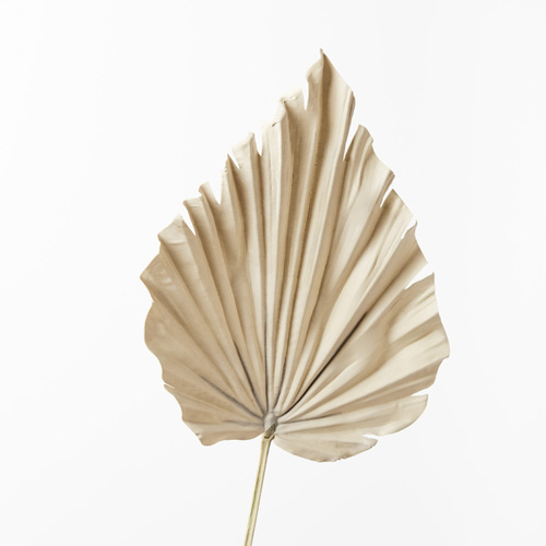 Palm Fan Spear Natural 56cml #FI8743NA- Each (Upkgd.) TEMPORARILY UNAVAILABLE