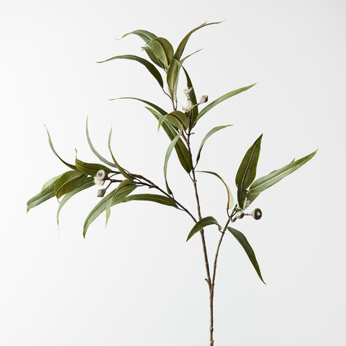 Eucalyptus Pod Flowering White 91cml #FI8744WH - Each (Upkgd.)