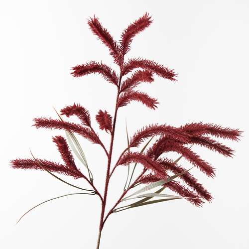 Pampas Grass Spray Burgundy 79cml #FI8786BU - Each