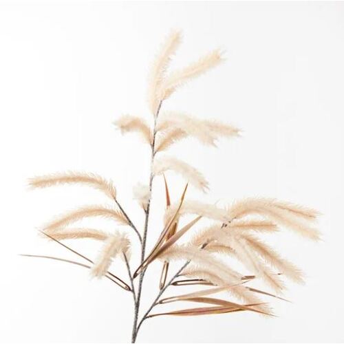 Pampas Grass Spray Cream 79cml #FI8786CR - Each