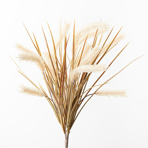 Pampas Grass Bush Cream 47cml #FI8788CR - Each TEMPORARILY UNAVAILABLE