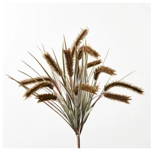 Pampas Grass Bush Moss 47cml #FI8788MO - Each