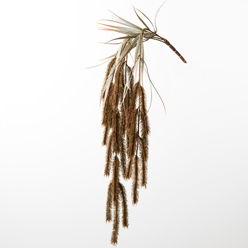 Pampas Grass Hanging Bush Moss 76cml #FI8789MO - Each