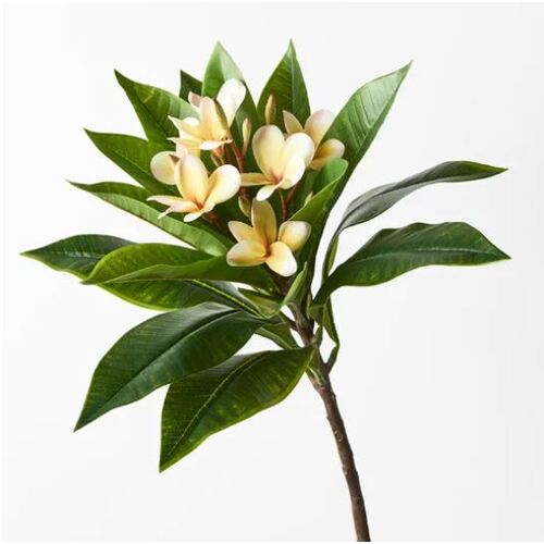 Frangipani Spray Yellow White 86cm #FI8891YE - Each 