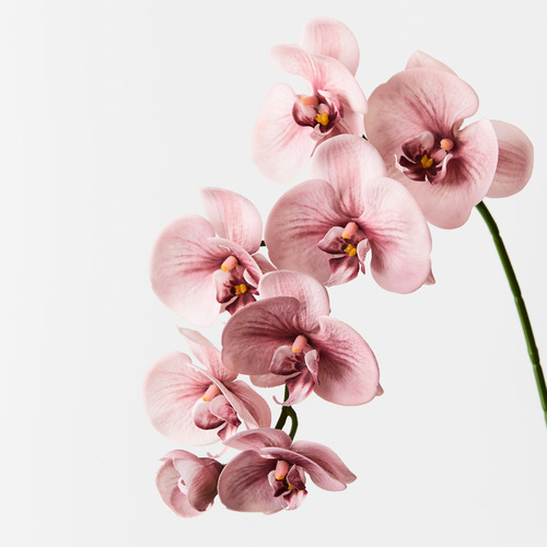 Orchid Phalaenopsis Spray Dusty Pink 92cml #FI8896DP - Each TEMPORARILY UNAVAILABLE