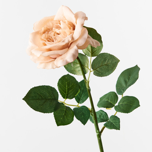 Fresh Touch Rose Astrid Blush 65cml #FI8899BS - Each