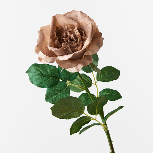 Fresh Touch Rose Astrid Coffee 65cml #FI8899CF - Each