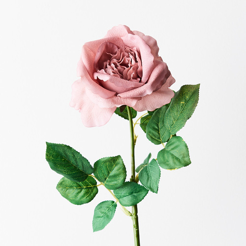 Fresh Touch Rose Astrid Dusty Pink 65cml #FI8899DP - Each