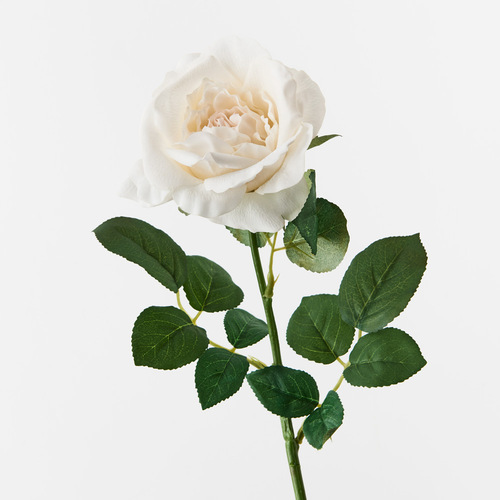Fresh Touch Rose Astrid Ivory 65cml #FI8899IV - Each TEMPORARILY UNAVAILABLE